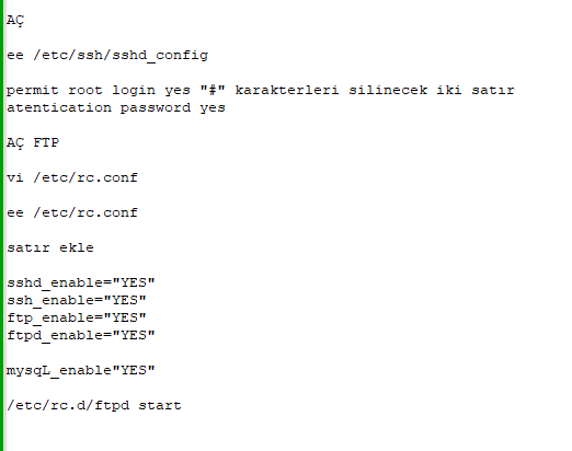 Ekran Alıntısı SSHD FTP.PNG
